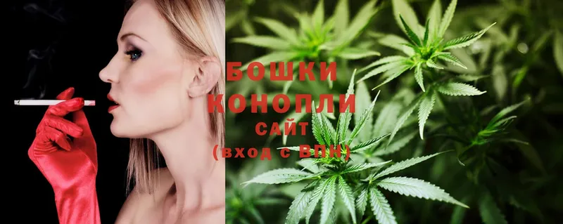 Бошки марихуана SATIVA & INDICA  продажа наркотиков  Владимир 